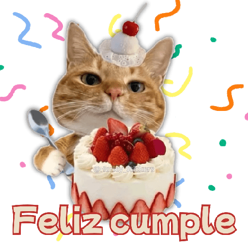 🧋🍉 GATOS que NECESITAS 🍉🧋 5
