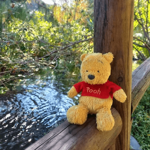 🍂 Winnie the Pooh 🧸🍯🐝 9
