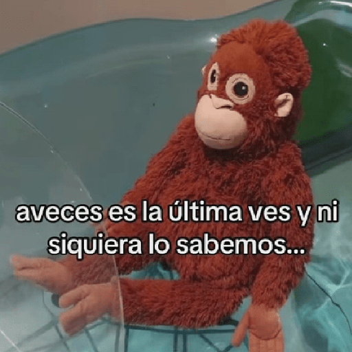 🧿Punch Frases♥️🦧🐒 6
