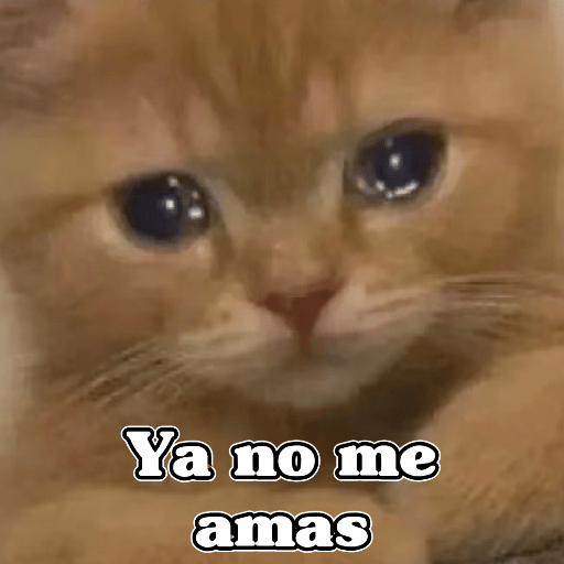 🧿Dilo con Michis2🐱 4