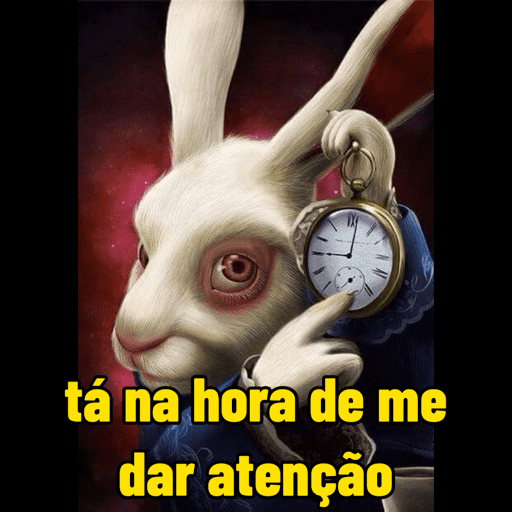 Coelho relógio 7