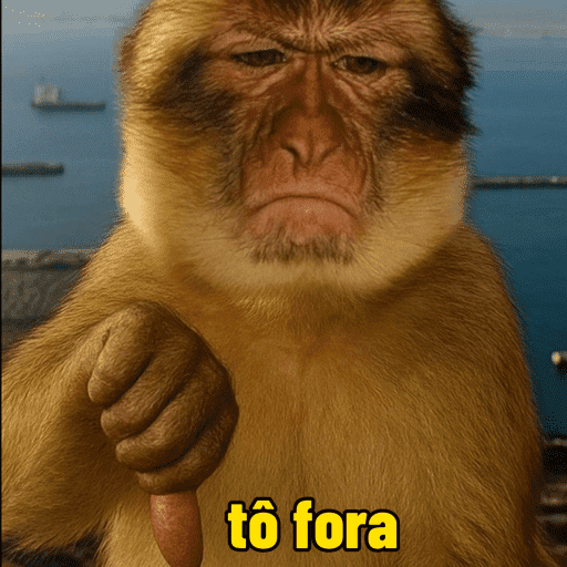 Macacos  8