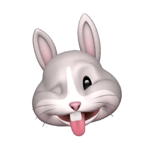 Rabbitmemoji 3