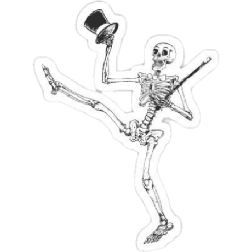 Tengkorak  9
