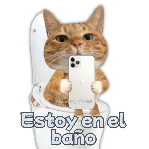 🧋🍉 GATOS que NECESITAS 🍉🧋 8