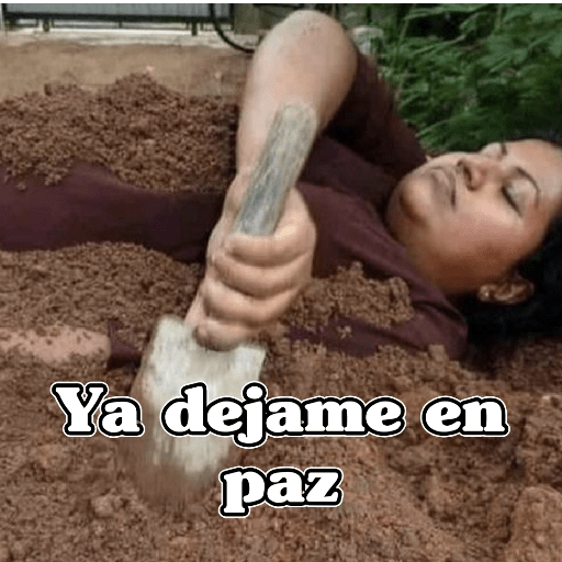 🧿Memes Variados12😂😎 7