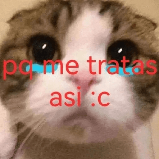 Humor 🫢 10