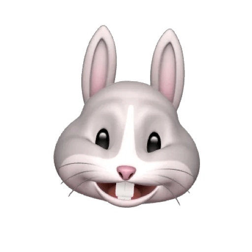 Rabbitmemoji 12
