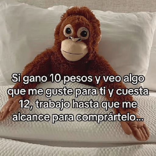 🧿Punch Frases♥️🦧🐒 15