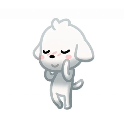 Perrito Blanco 🤍🐕 8