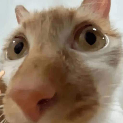 🧿Dilo con Michis2🐱 9