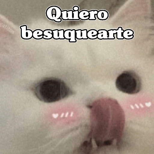 🧿Memes Variados16 😎 10