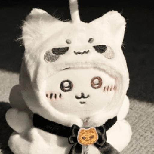 🧿Peluche Chiikawa💗🫶🏻 8
