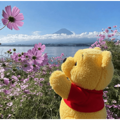 🍂 Winnie the Pooh 🧸🍯🐝 10