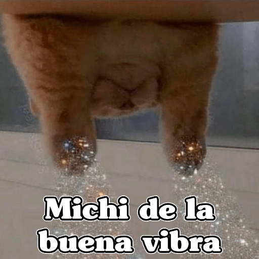 🧿Memes Variados16 😎 4