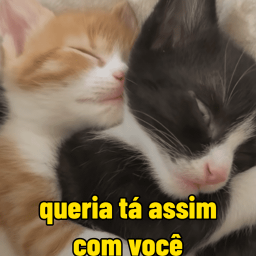 Cantadas gatinhos  14
