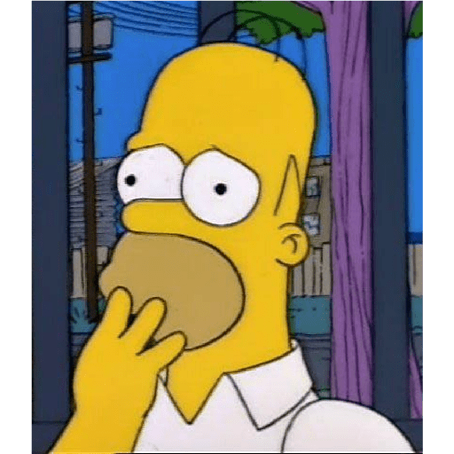 Los Simpson 15