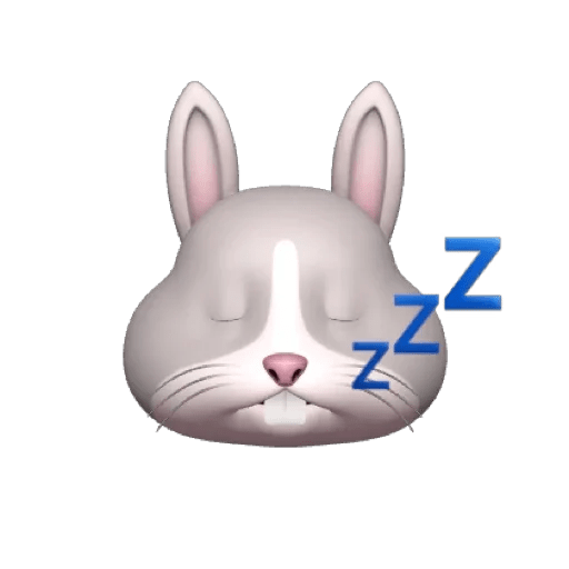 Rabbitmemoji 11