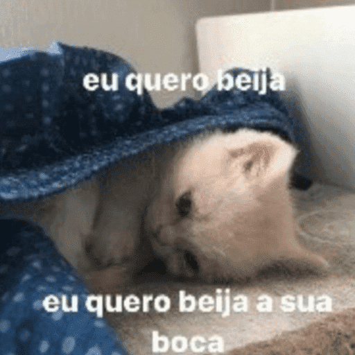 Cantadas gatinhos  13