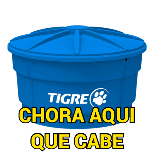 FRASES PRA VOCÊ USAR 5