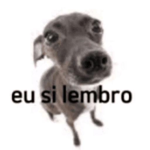 SHITPOST BOM DEMAIS... 12