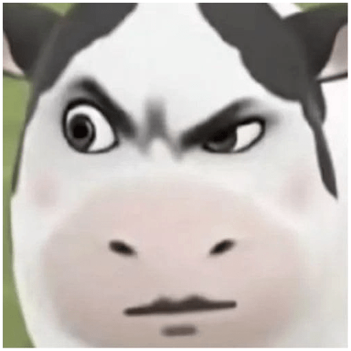 Meme Sapi Tiktok 5