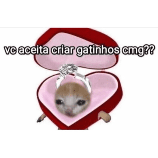 Cantadas gatinhos  2