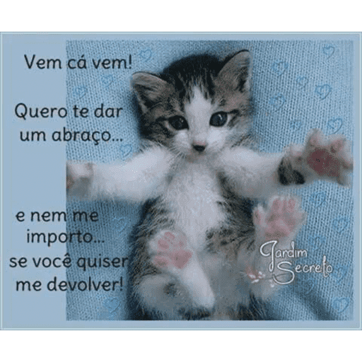 Cantadas gatinhos  8