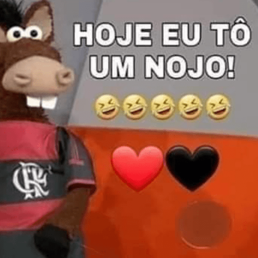 Memes flamengo 10