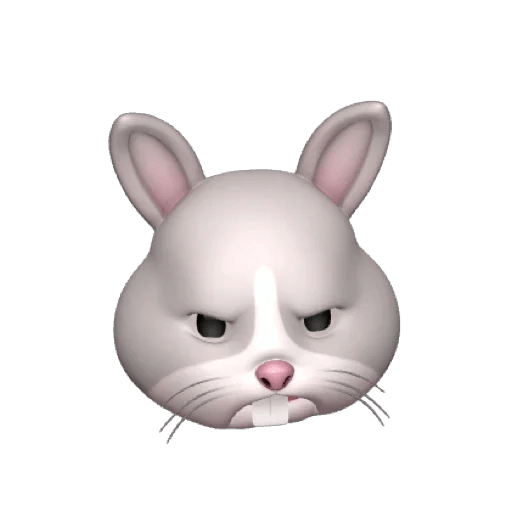 Rabbitmemoji 5