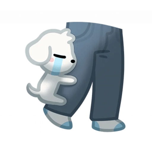 Perrito Blanco 🤍🐕 4