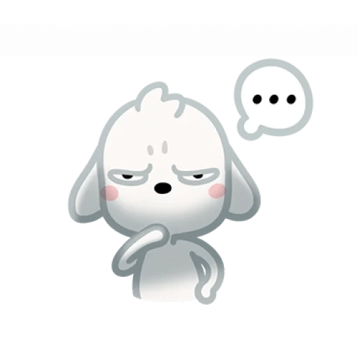 Perrito Blanco 🤍🐕 12