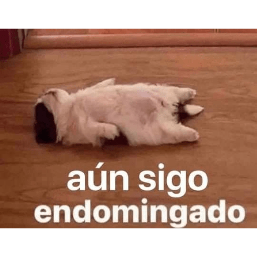Frases de trabajo 😹 3