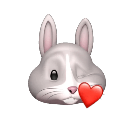 Rabbitmemoji 15