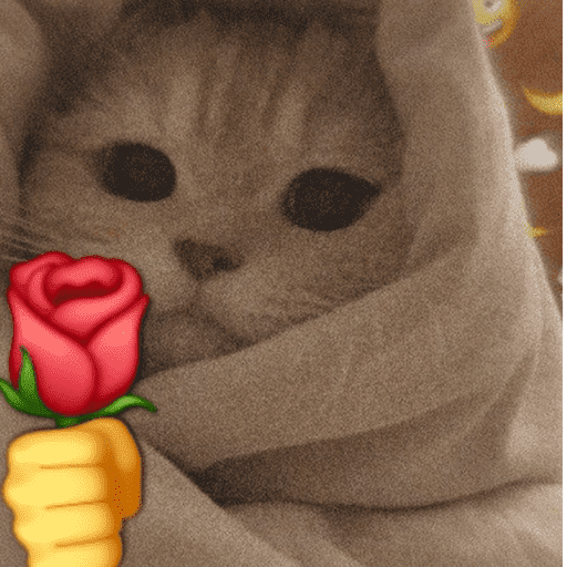 Cantadas gatinhos  4