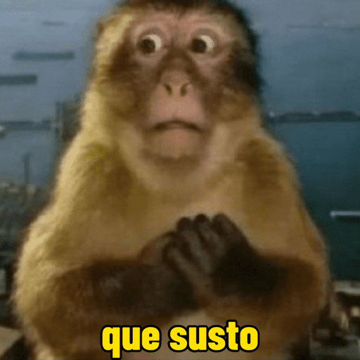 Macacos  12