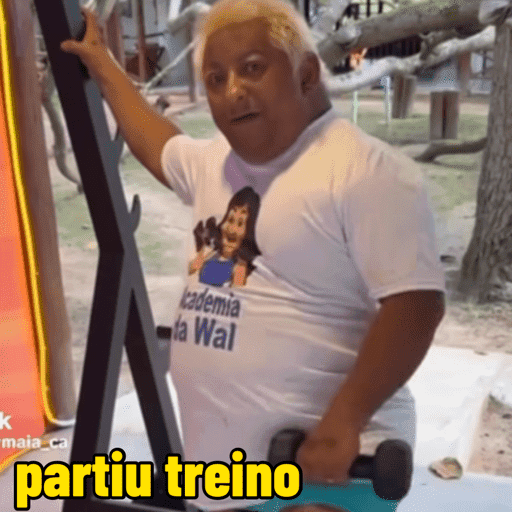 Patixa 8