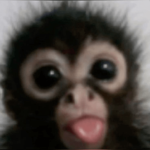 Monitos 🐵 2