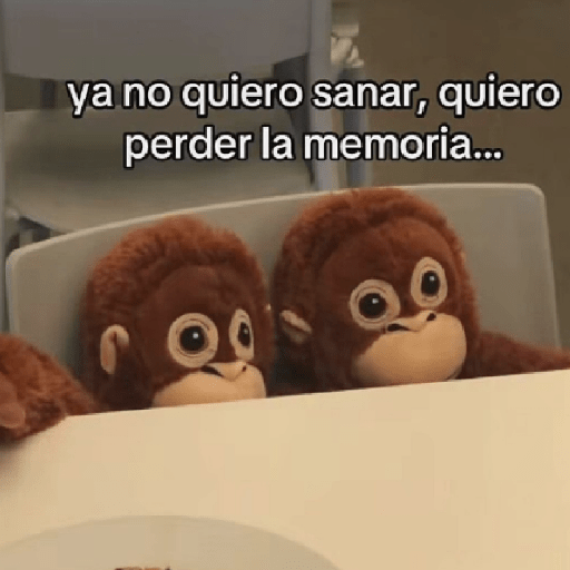 🧿Punch Frases♥️🦧🐒 5