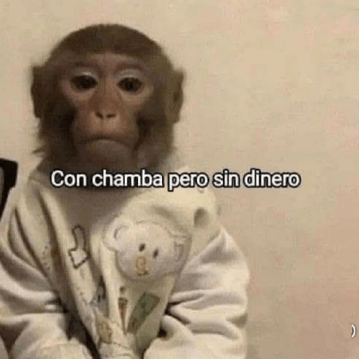 Monos 🙊 6