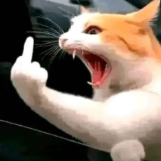 🧿Dilo con Michis1🐱 3