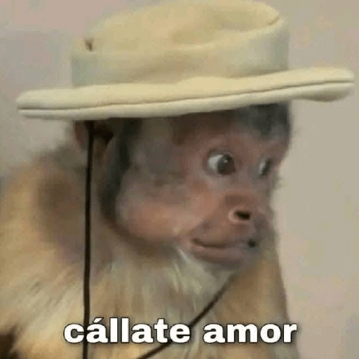 Monos 😹 1