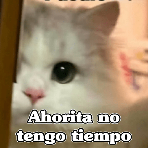 🧿Memes Variados16 😎 6
