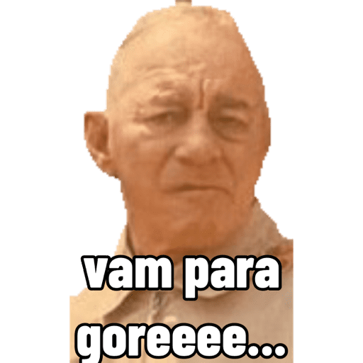 Escolar 24