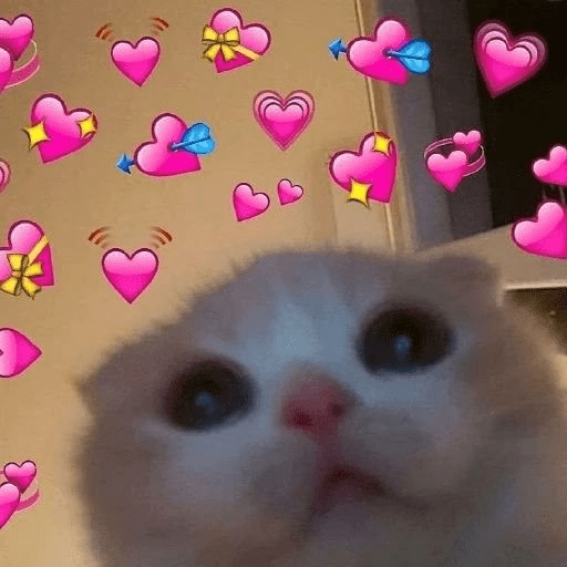 Gatitos ✨️ 7