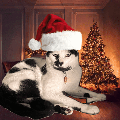 Gatitos 6
