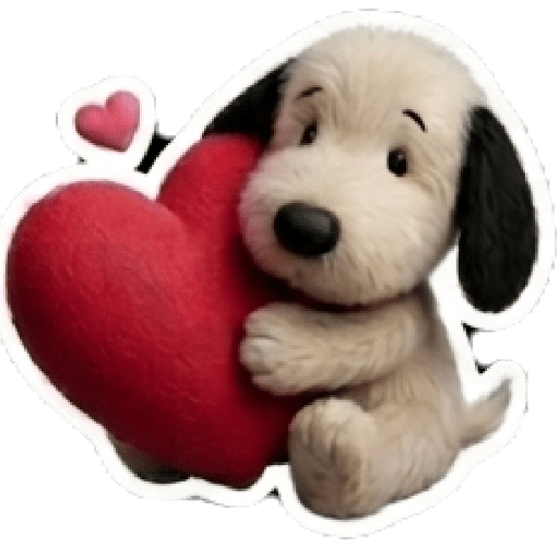 Snoopy teddy 🦴🏠 13