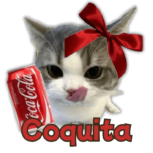 🧋🍉 GATOS que NECESITAS 🍉🧋 4