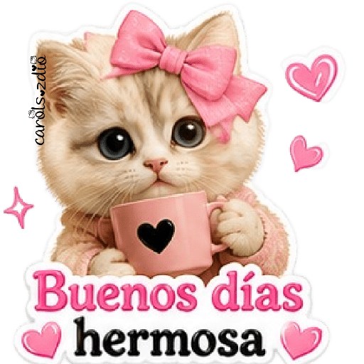 Gatos Coquette 💕🎀 1