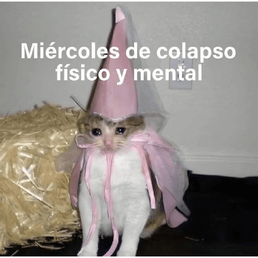 Frases de trabajo 😹 4